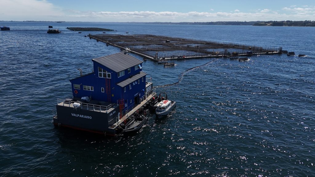 Producción Sostenible De Salmón En Salmones Austral